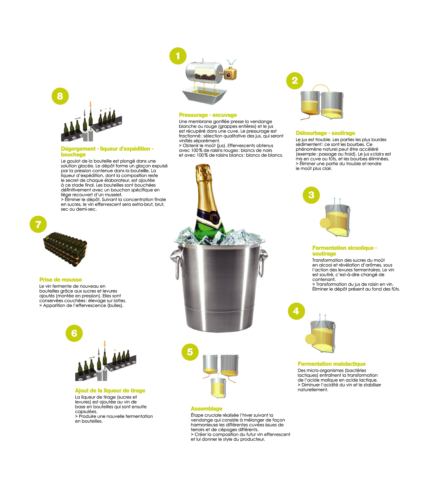Les étapes de vinification du vin blanc