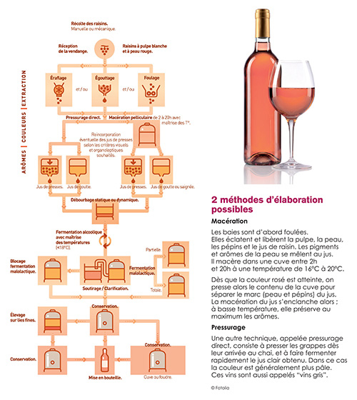 Elaboration du vin rosé
