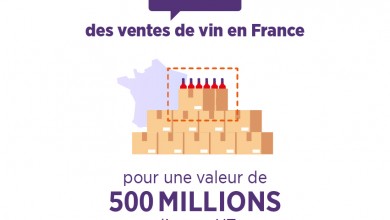 Chiffre affaires vente vin en ligne en France