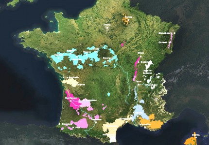 Carte du vignoble