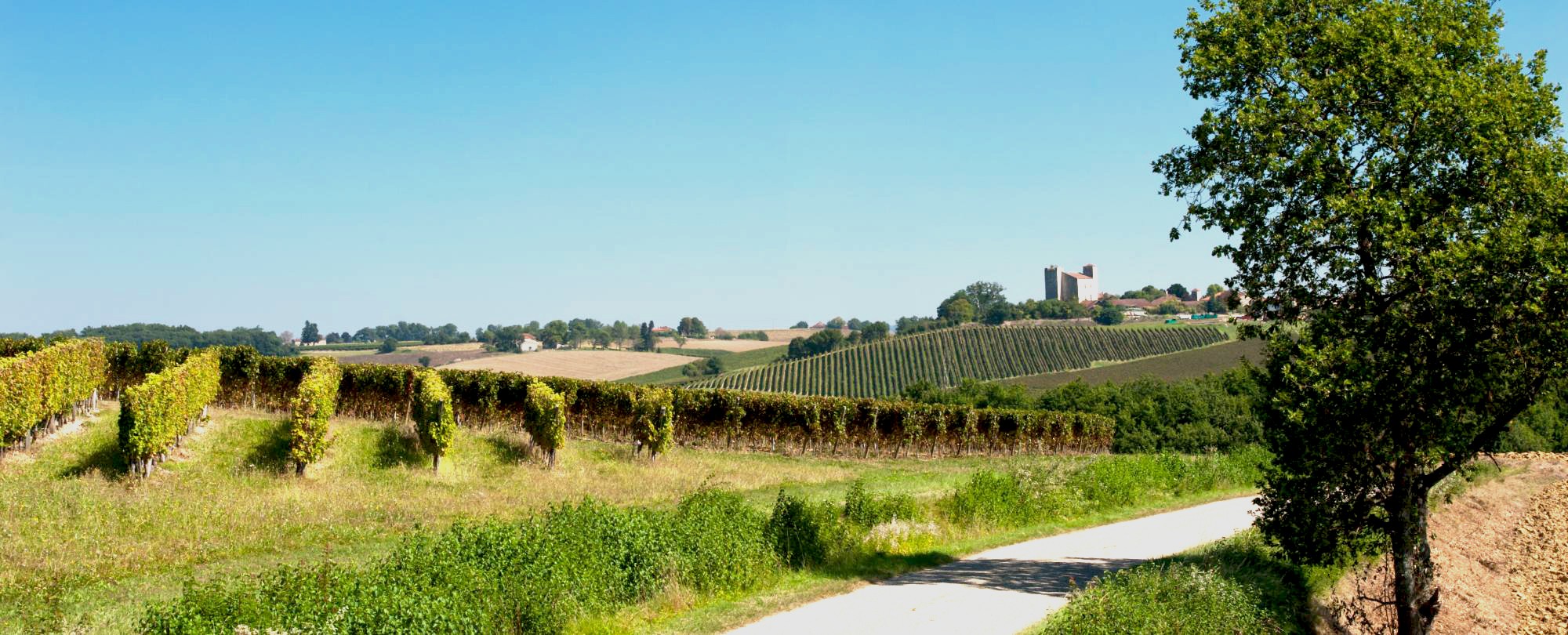 Côtes de Gascogne