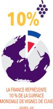 Avec 750 000 hectares, la France représente 10 % de la surface mondiale de vignes de cuve.