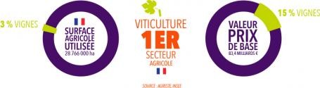 Viticulture 1er secteur agricole