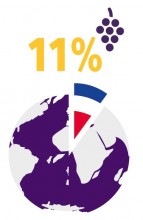 Part mondiale des surfaces de vignes de cuve françaises